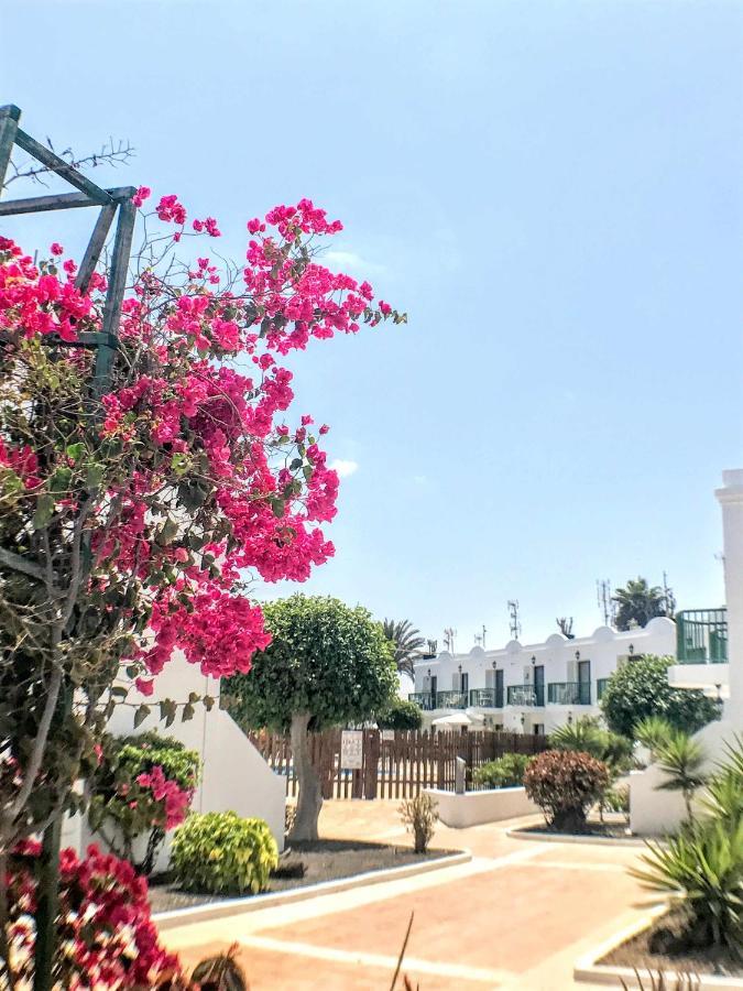 Armonia Pool View & Wi-Fi By Irent Fuerteventura Apartment Коралео Екстериор снимка